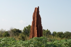 100_0900