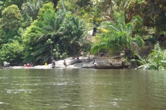 DSCF0241